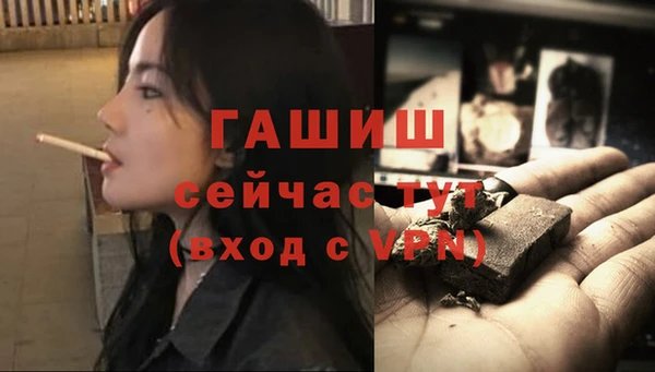 гашик Новоузенск