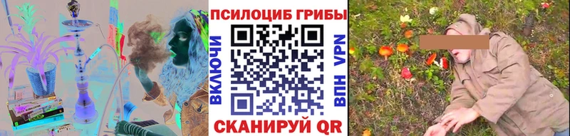 наркота  Абинск  площадка официальный сайт  Галлюциногенные грибы Psilocybe 