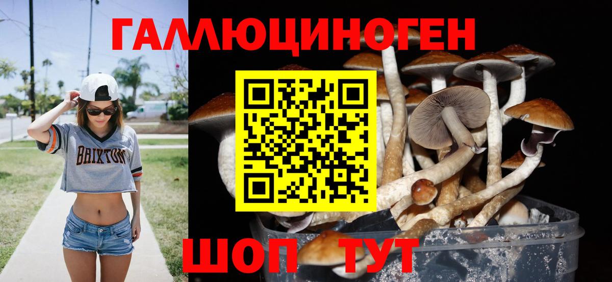 купить закладку  Абинск  Галлюциногенные грибы мицелий  Псилоцибиновые грибы Cubensis 