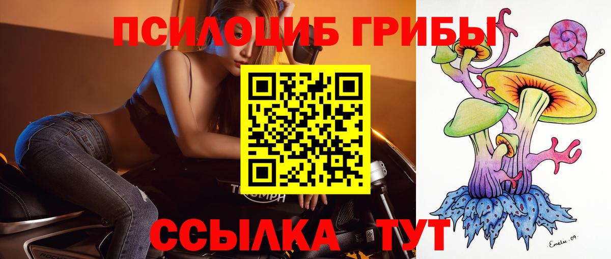 Галлюциногенные грибы Cubensis  Вход с VPN  где найти наркотики  Галлюциногенные грибы прущие грибы  Абинск 